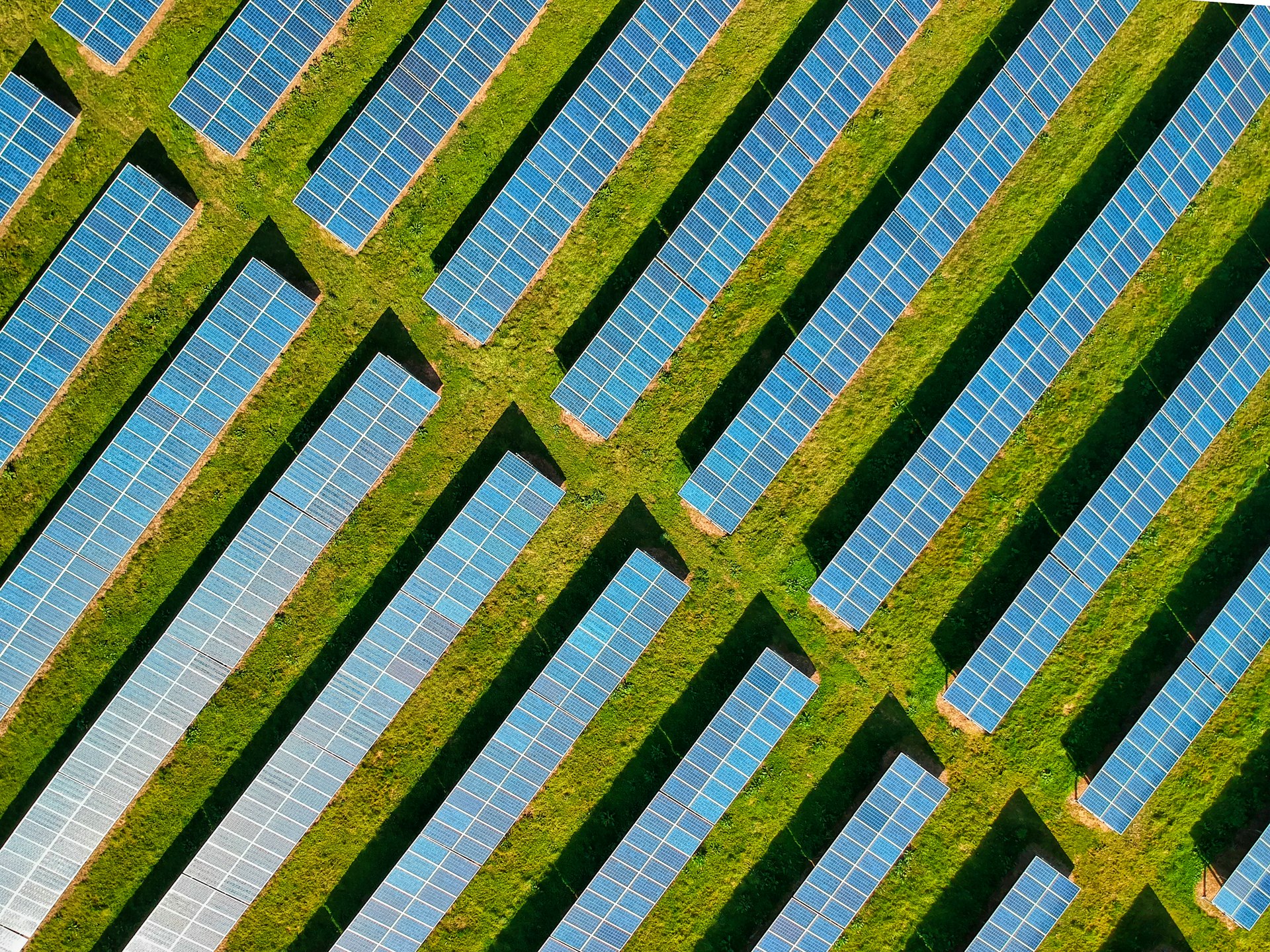 solar panels amongst greenery
